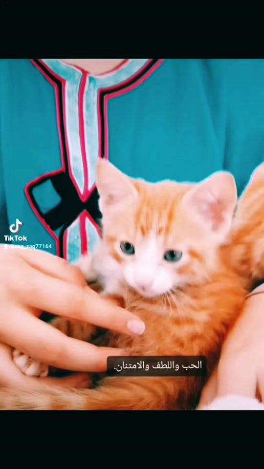 TikTok video thumbnail by zag.zag77164