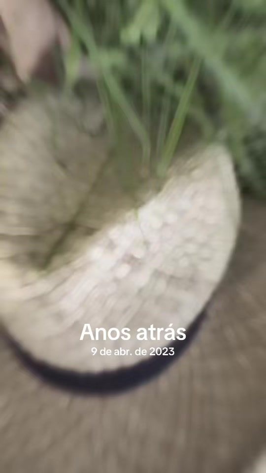 TikTok video thumbnail by ruisoares65