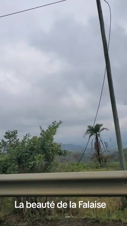 TikTok video thumbnail by warmanduterreterre