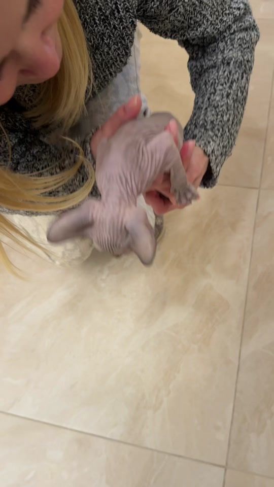 TikTok video thumbnail by _ashley_x_2