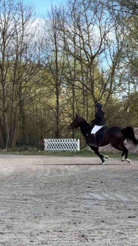 TikTok video thumbnail by equestrian.lilly16