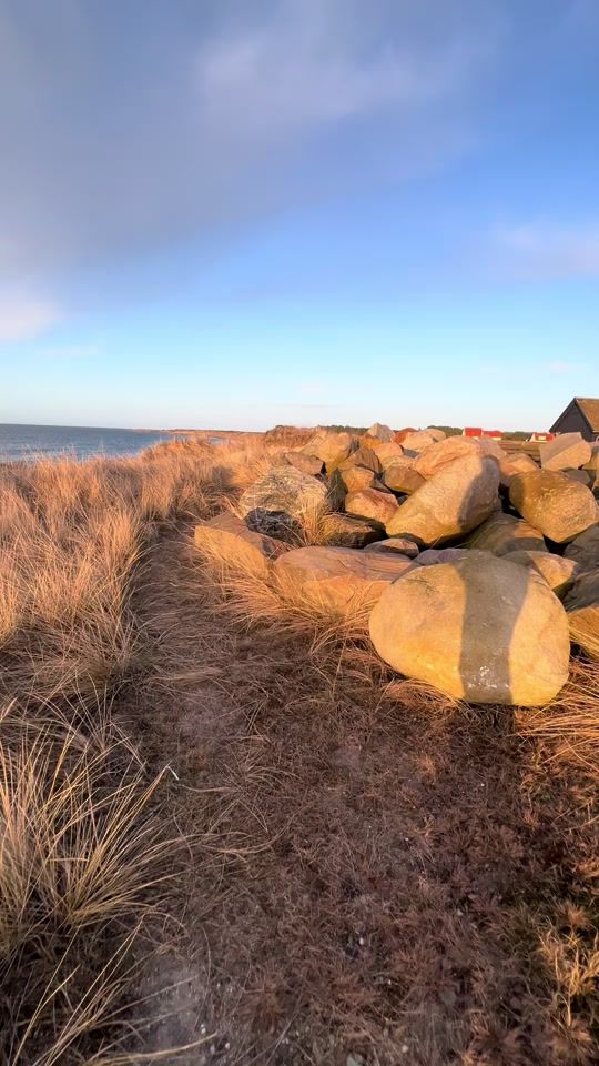 TikTok video thumbnail by silas_dossantos