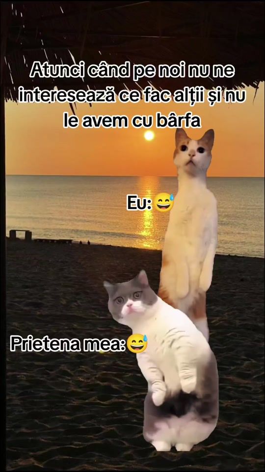 TikTok video thumbnail by filote_adina