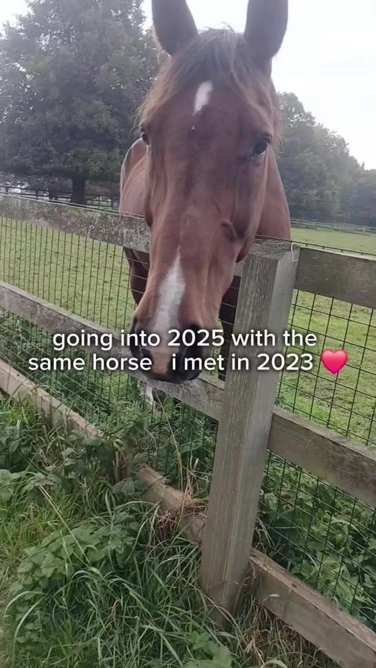 TikTok video thumbnail by dog.life2025