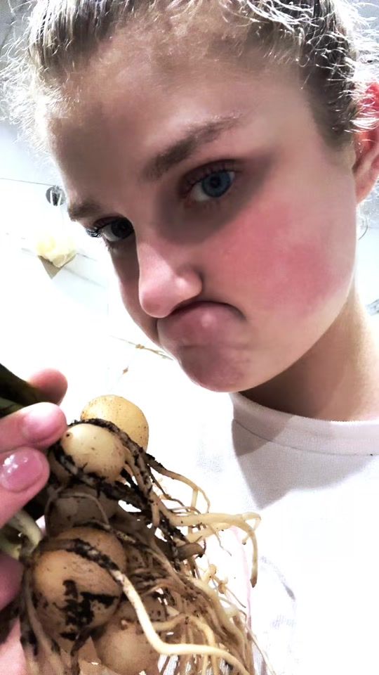 TikTok video thumbnail by ameliabronowska