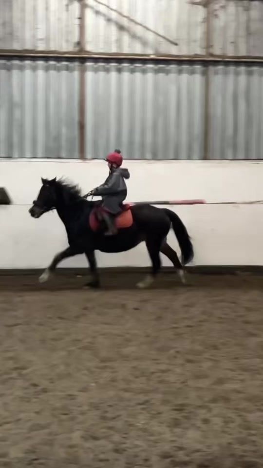 TikTok video thumbnail by sophia.m160