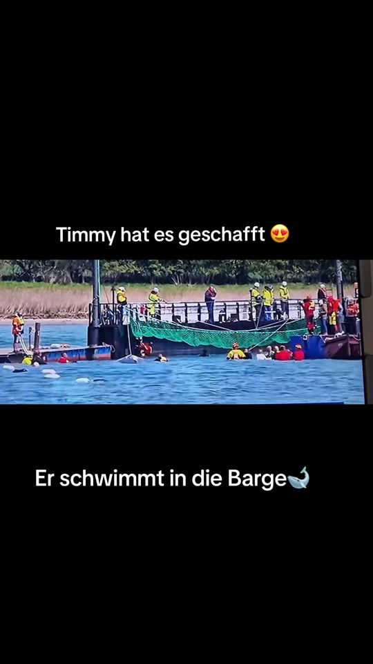 TikTok video thumbnail by tobi_ausgera