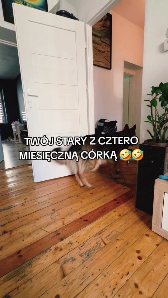 TikTok video thumbnail by mr.malina87