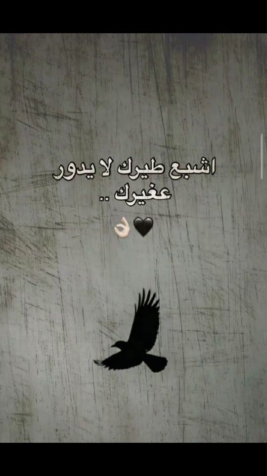 TikTok video thumbnail by f16rkn