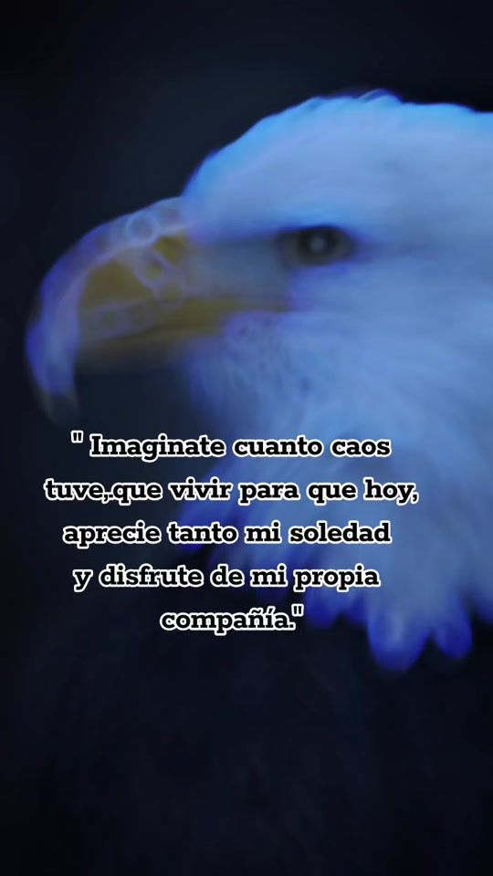 TikTok video thumbnail by frases.nicos