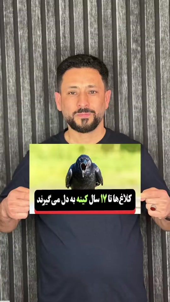 TikTok video thumbnail by kiwanmedia