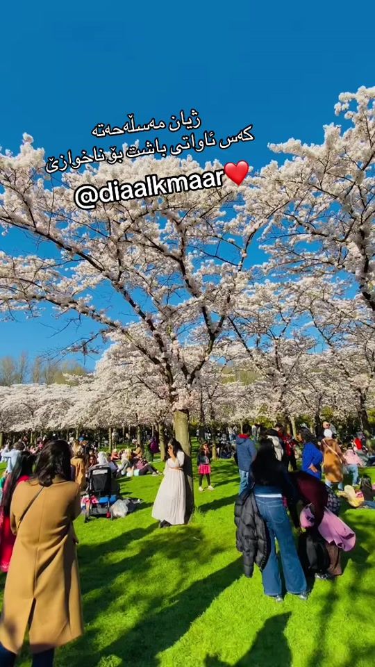 TikTok video thumbnail by diaalkmaar