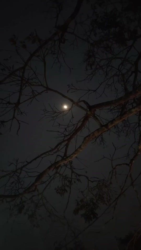 TikTok video thumbnail by katerin_fa