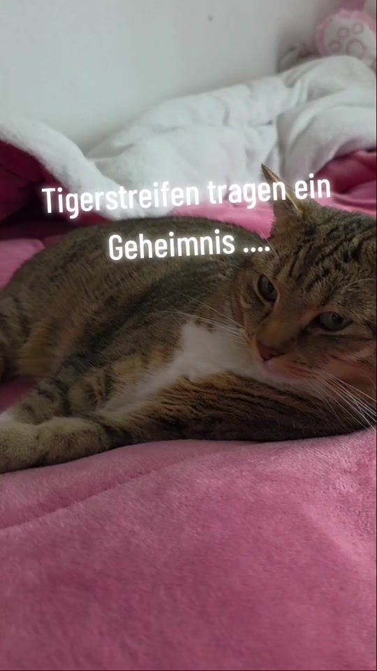 TikTok video thumbnail by marina.jmi