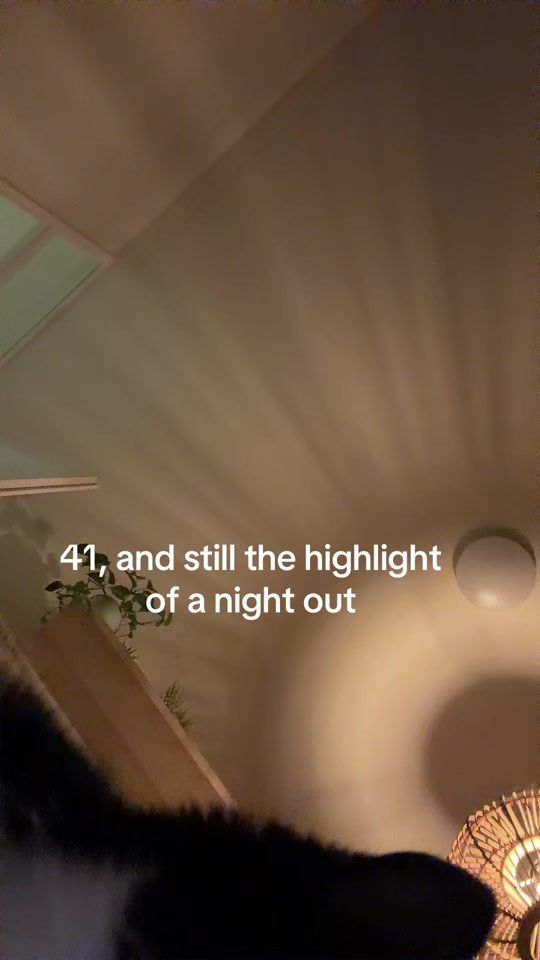 TikTok video thumbnail by chantalspies6