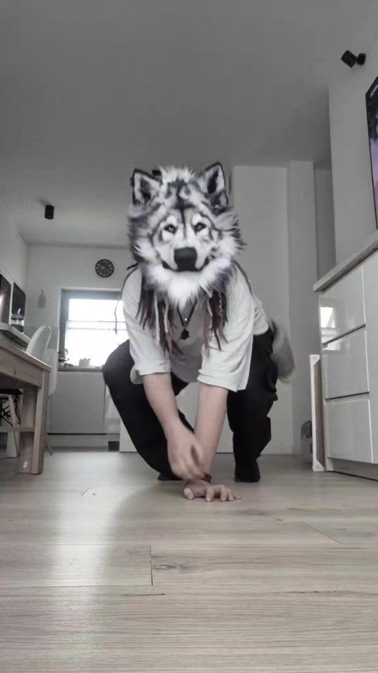 TikTok video thumbnail by wolf.spectrum
