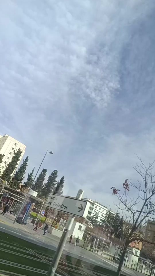 TikTok video thumbnail by _granaino