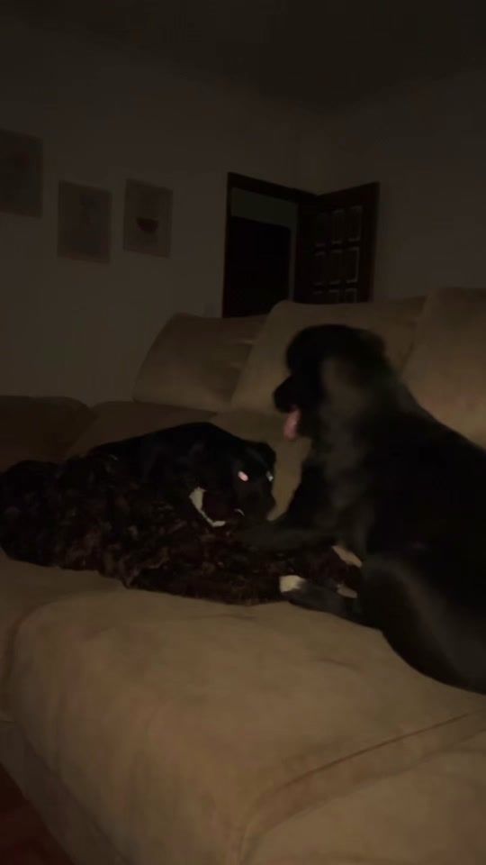 TikTok video thumbnail by carlosilva._