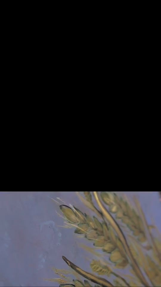 TikTok video thumbnail by inestunic