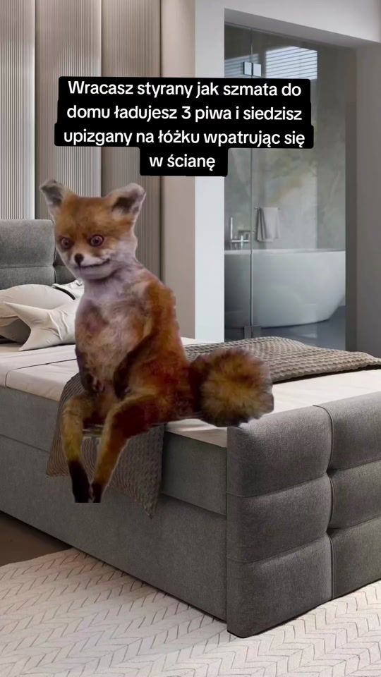 TikTok video thumbnail by vikingowy