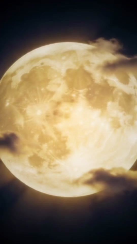 TikTok video thumbnail by timarhane46