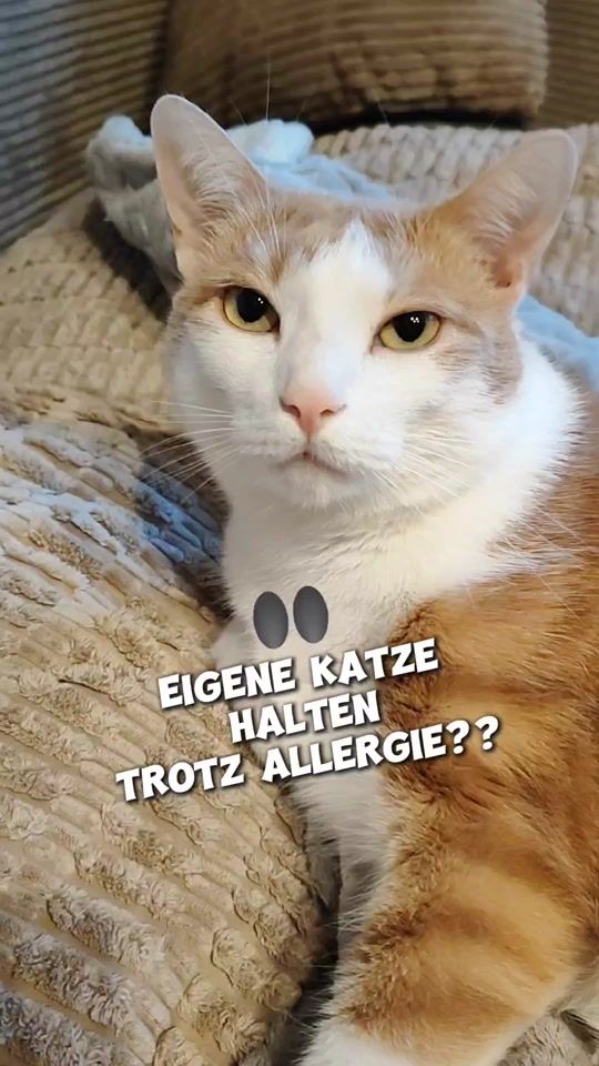 TikTok video thumbnail by _hejdine_