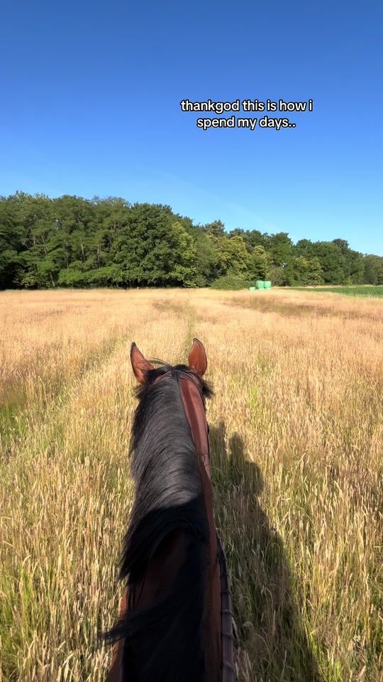 TikTok video thumbnail by ivr_horseriding
