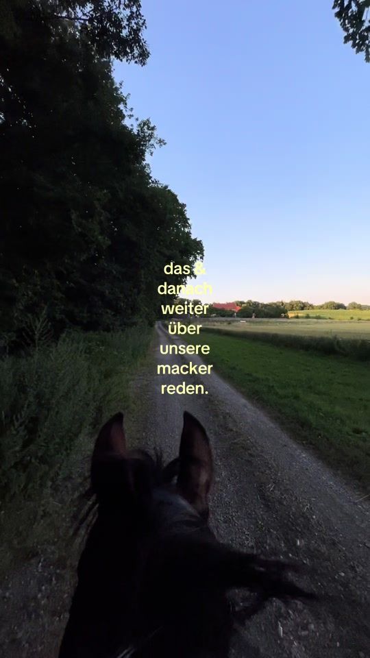 TikTok video thumbnail by scheckenteam.es