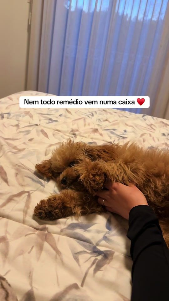 TikTok video thumbnail by tania_netoo