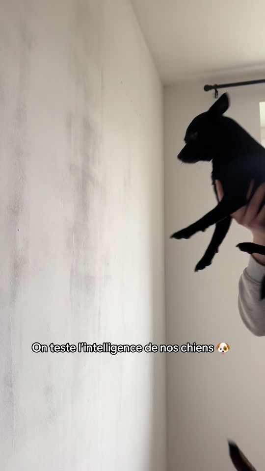 TikTok video thumbnail by skayko.ma