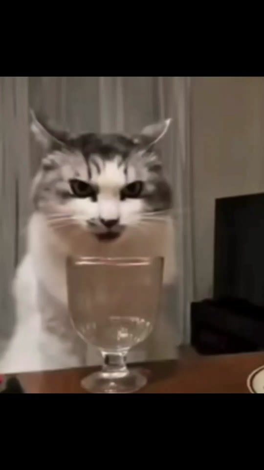 TikTok video thumbnail by natroixfun
