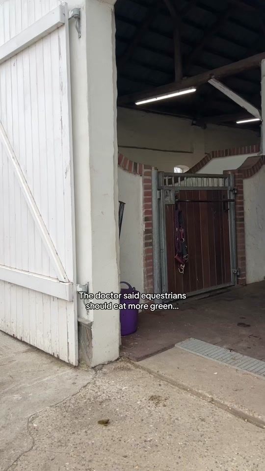 TikTok video thumbnail by horze_official