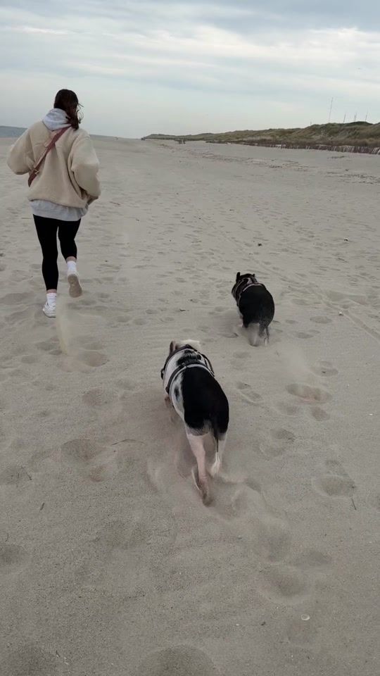 TikTok video thumbnail by milo.und.luna