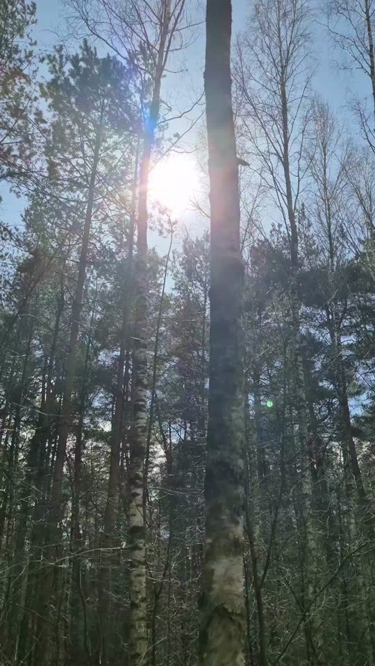 TikTok video thumbnail by infonaturaa