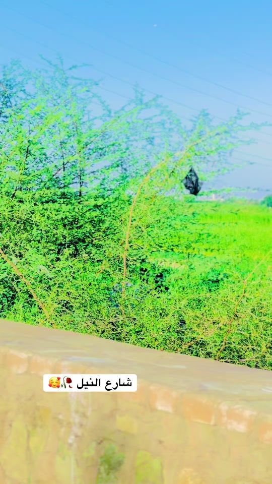TikTok video thumbnail by a7med_s7ata