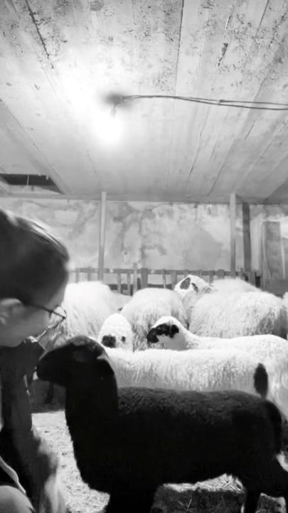 TikTok video thumbnail by _sara_8_ot_