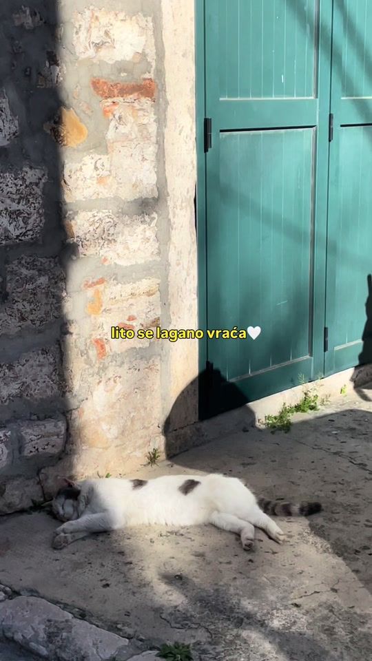 TikTok video thumbnail by luka.orlovic