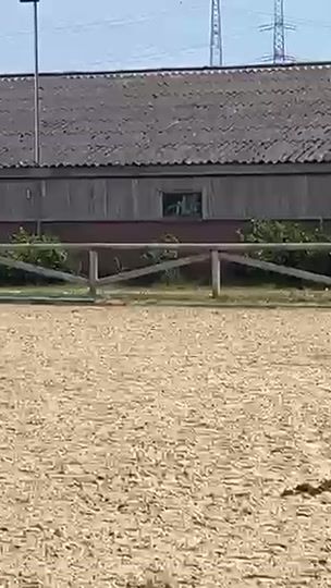 TikTok video thumbnail by mirtevanhal