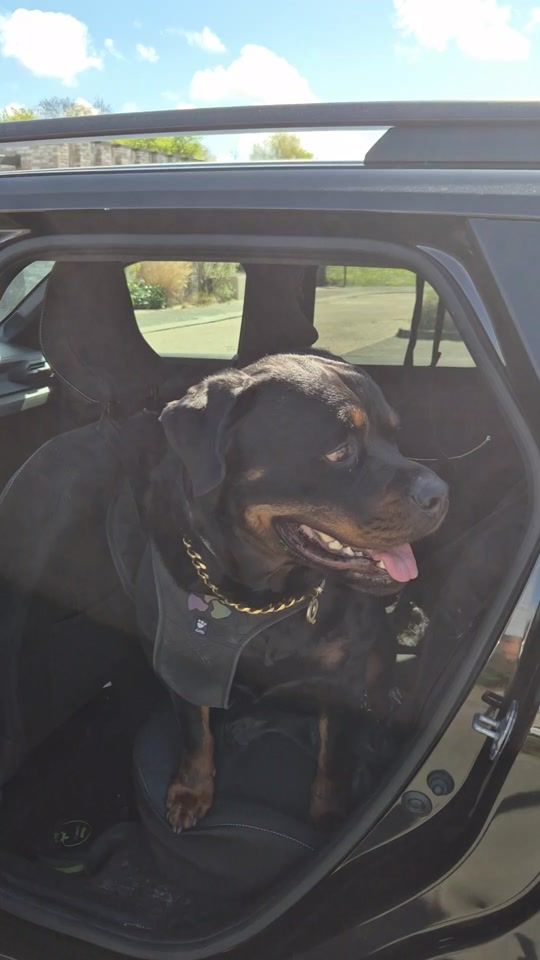 TikTok video thumbnail by miralkorkmaz