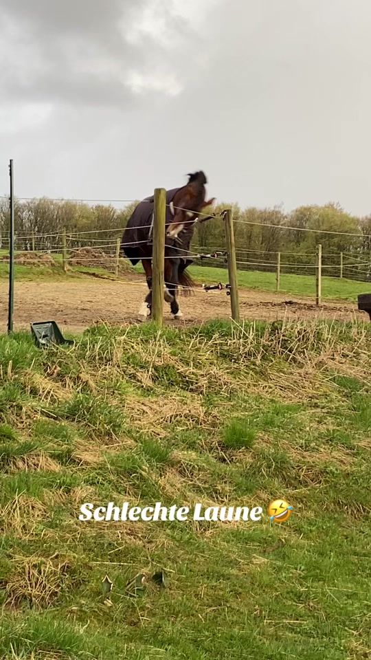 TikTok video thumbnail by elenafaro3