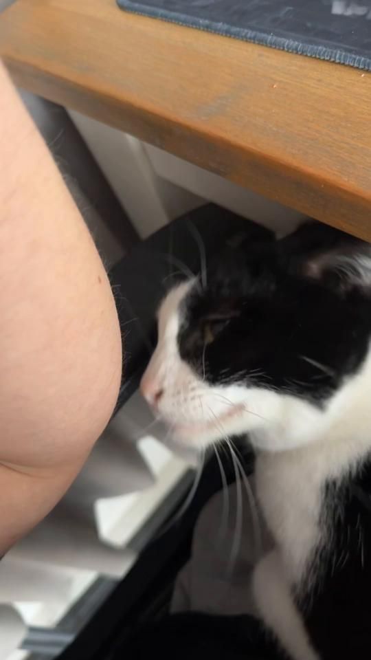 TikTok video thumbnail by lucc_vdb