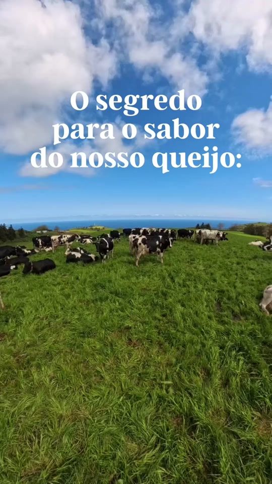 TikTok video thumbnail by terra_nostra_
