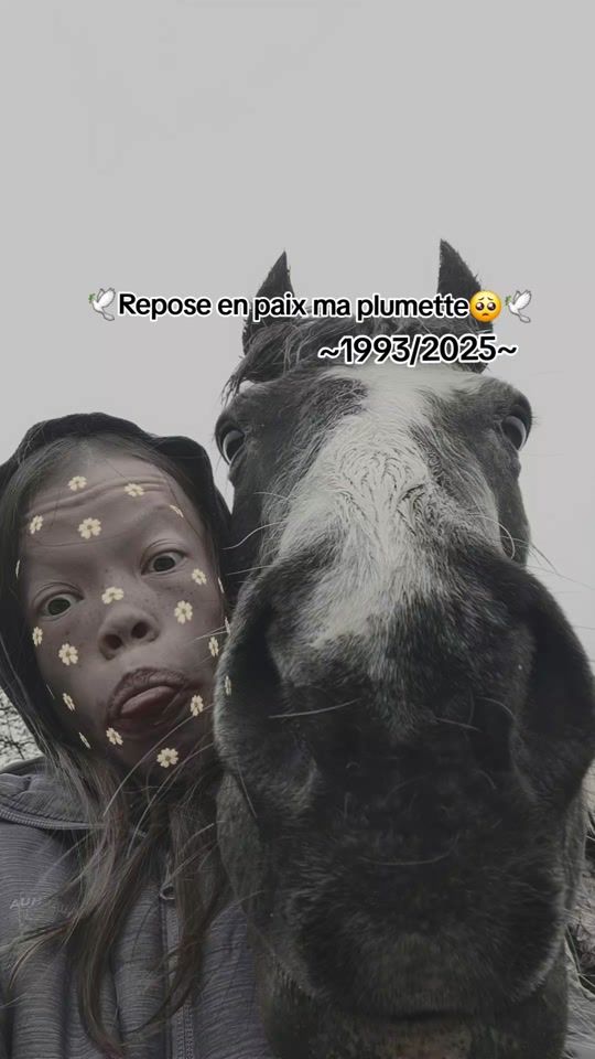 TikTok video thumbnail by _.onlypplj._