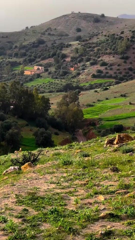 TikTok video thumbnail by belgo.mohamed