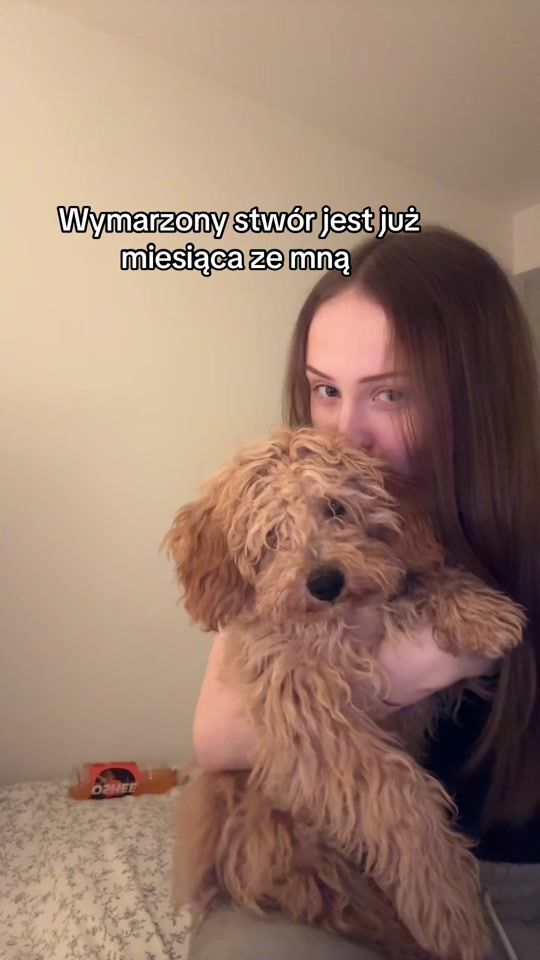 TikTok video thumbnail by amelka_boron