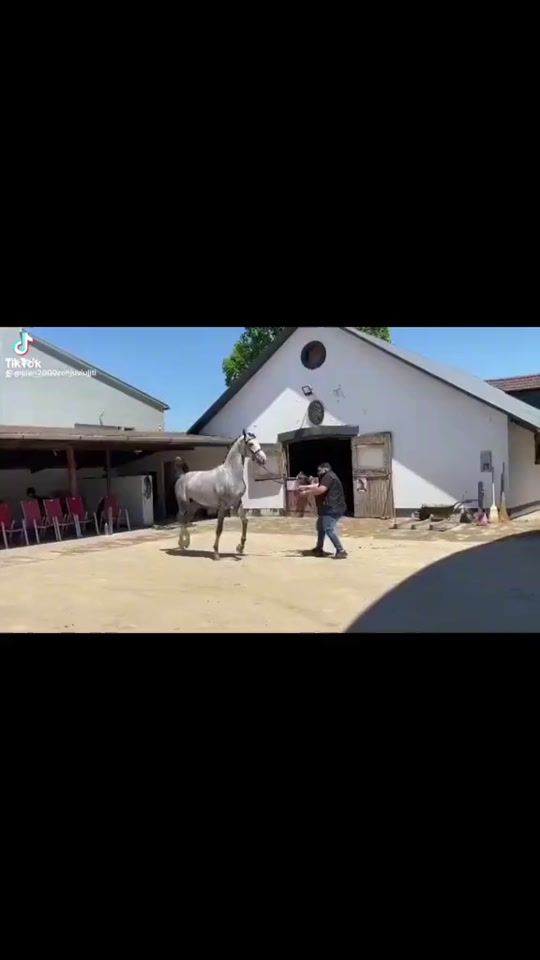 TikTok video thumbnail by nhenrikgyhen26._