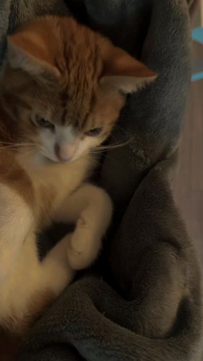 TikTok video thumbnail by monstrousmuezza
