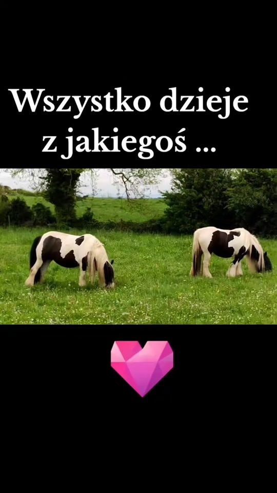 TikTok video thumbnail by __leszek