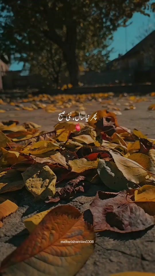 TikTok video thumbnail by mehwishwrites1308
