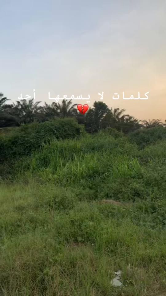 TikTok video thumbnail by alnuur47